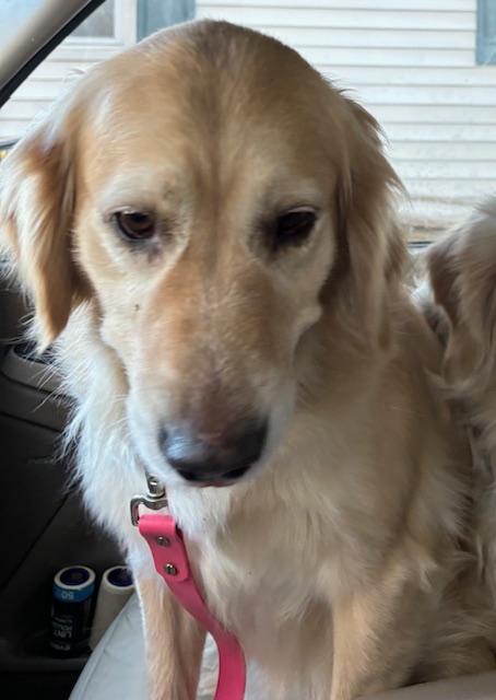 Sadie Mae